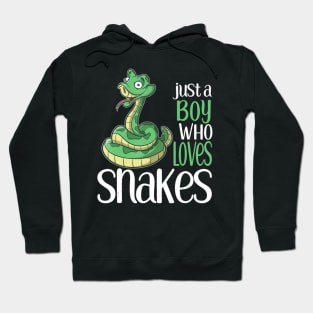 Just A Boy Who Loves Snakes S And Boys Sticker Hoodie